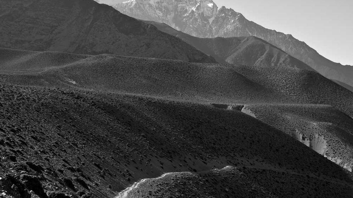 禁毒警示教育展厅